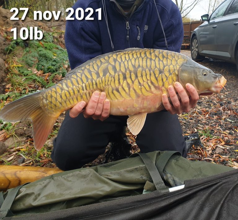 10lb 27.11