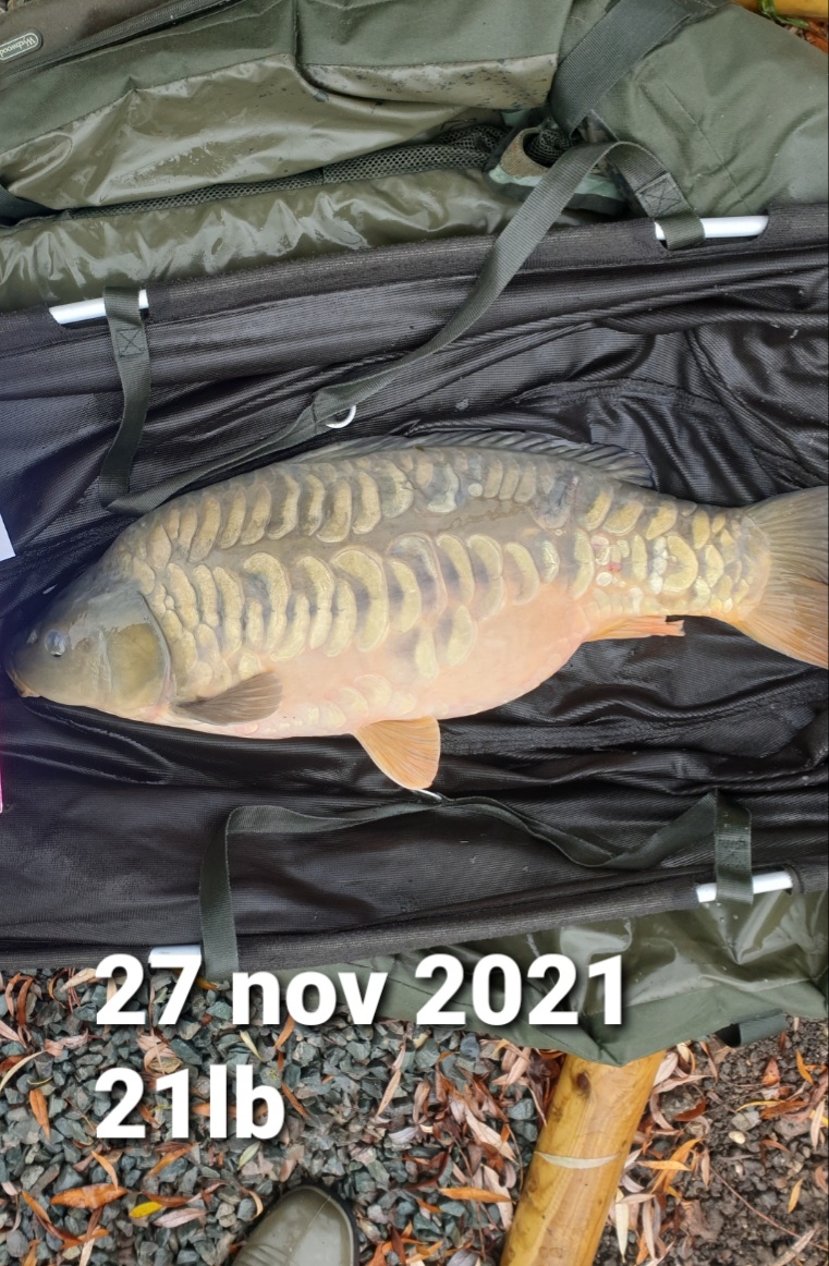 21lb nov 21