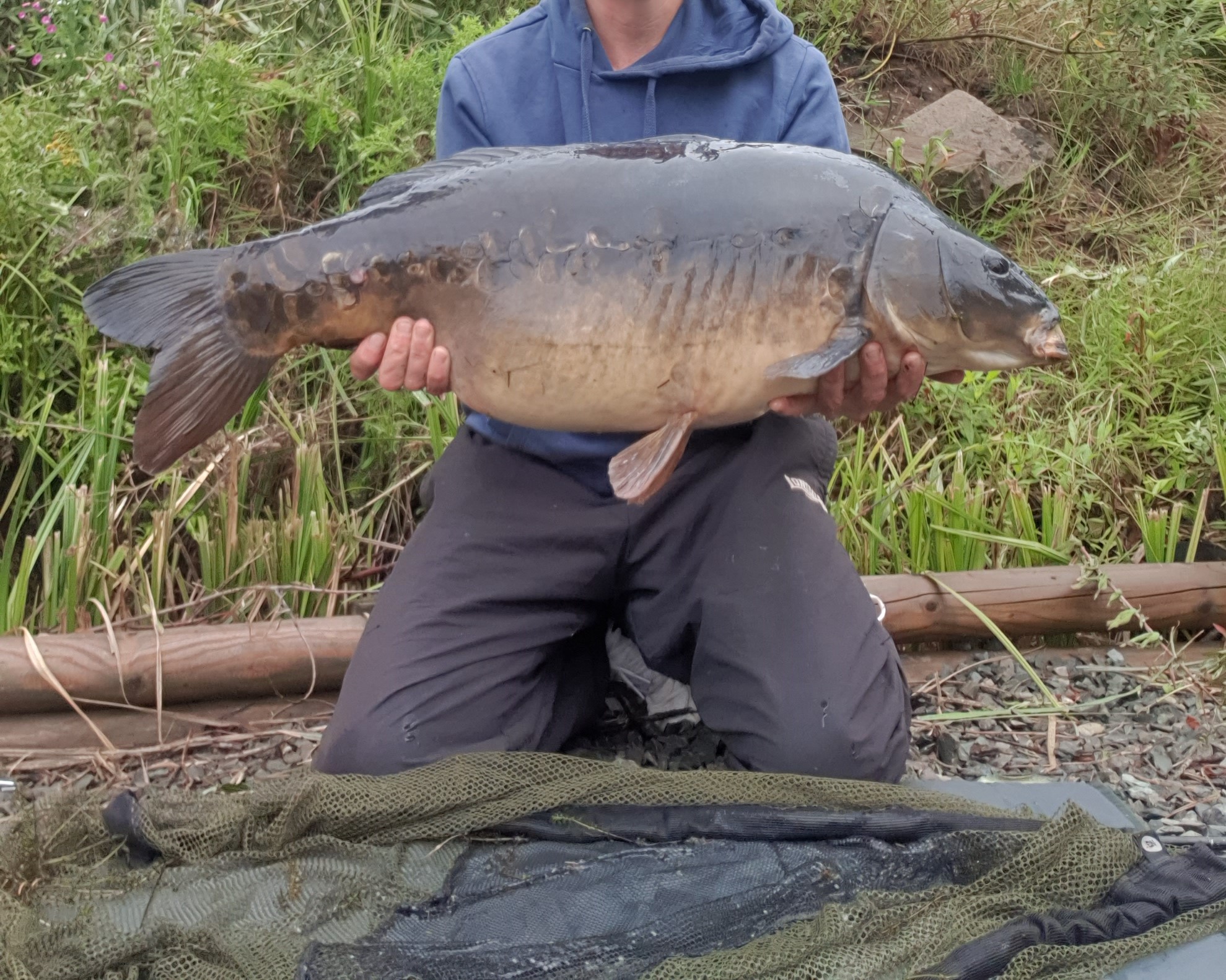 Tolton 28lb 8oz 27 July 2023 no head