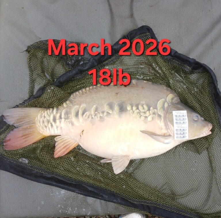 March 2026 18lb