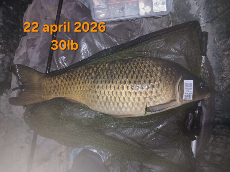 20260421_212754
