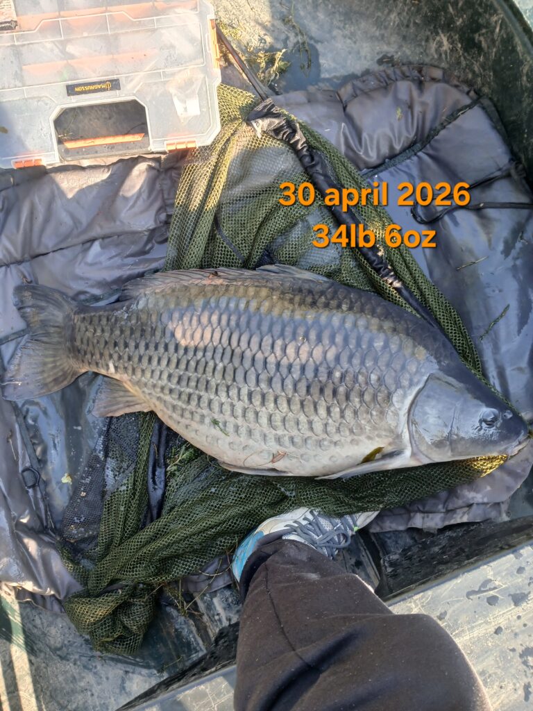 20260429_075248