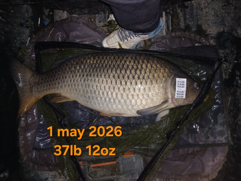 20260501_033715