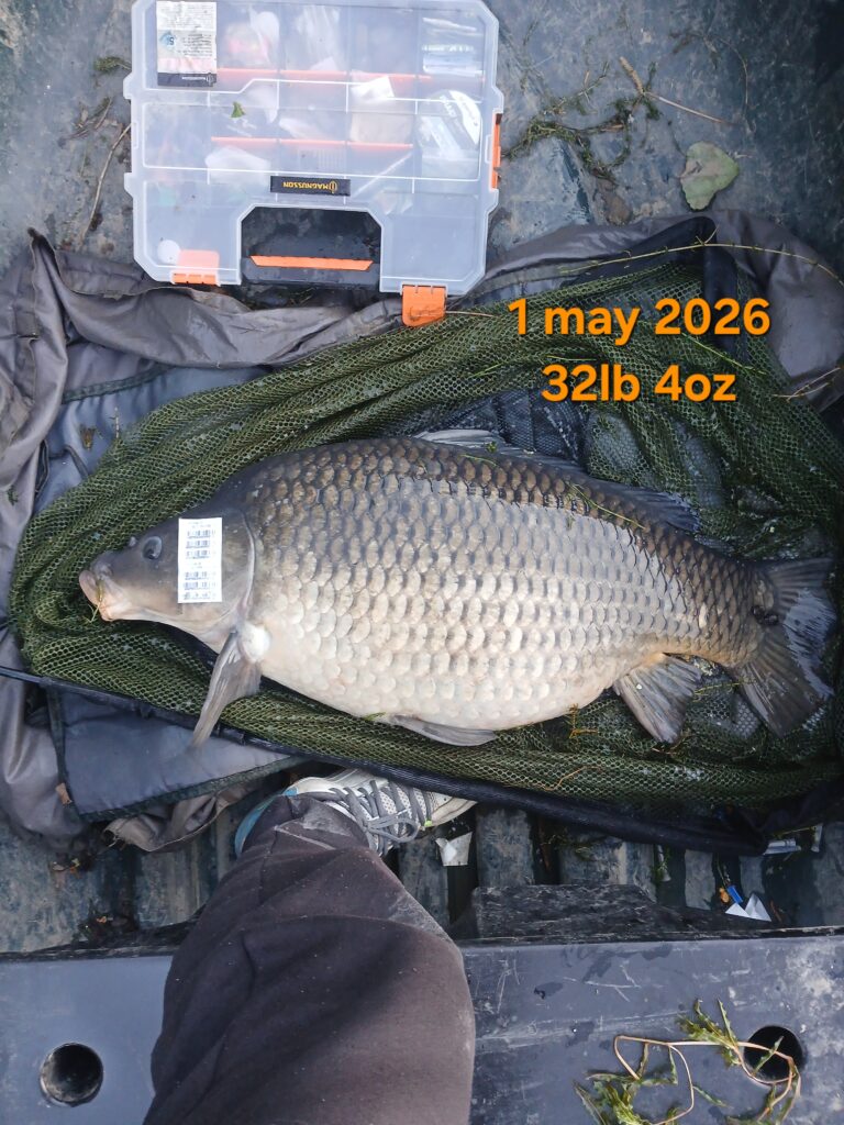 20260501_065139