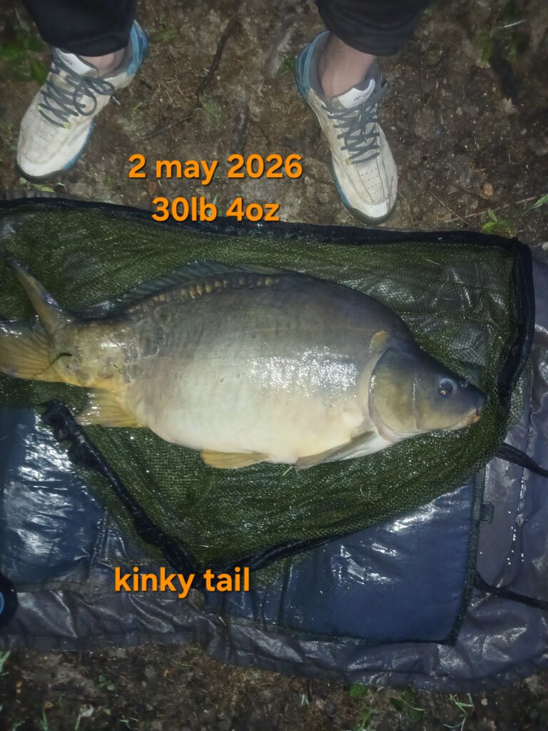 20260502_060529