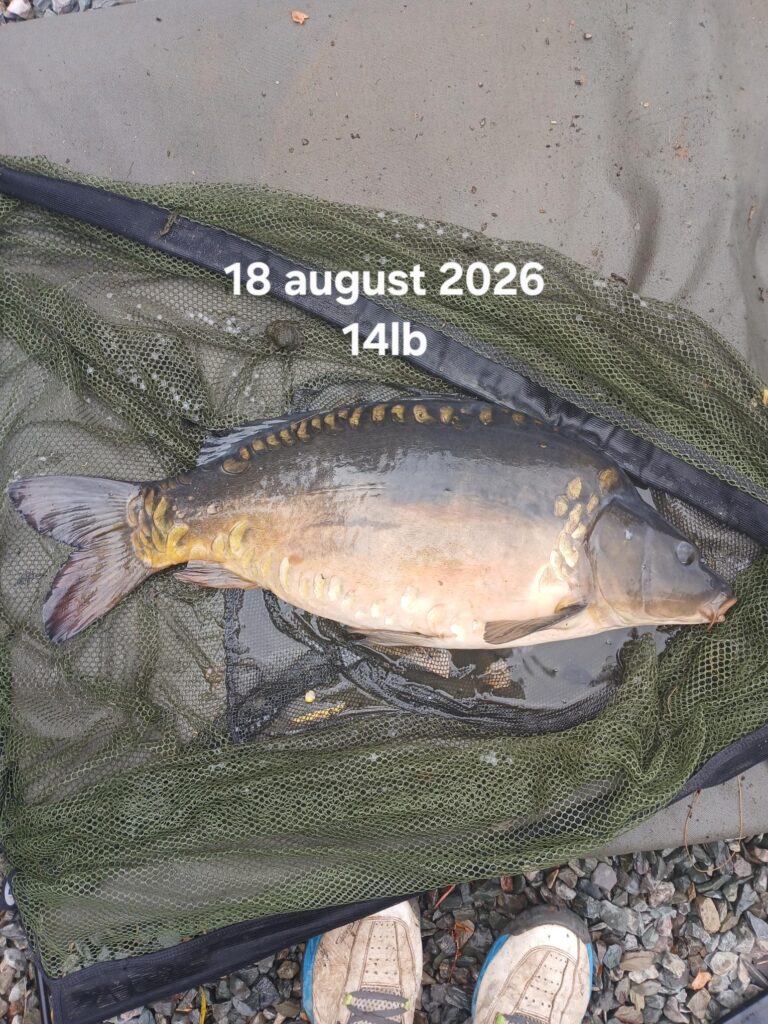 20260818_083445