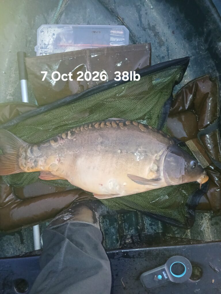 20261007_074542